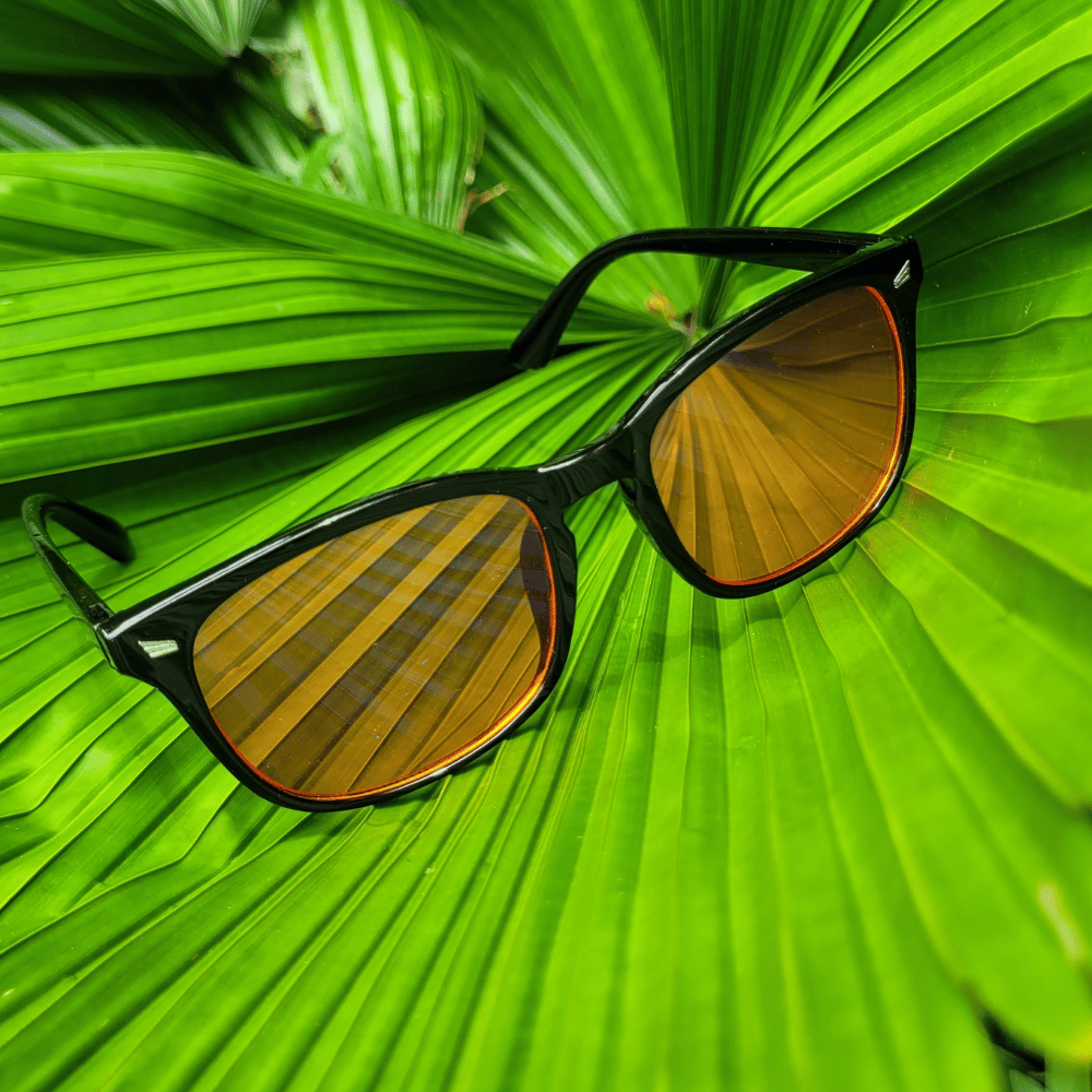 Noctesse - Blue Light Blocking Glasses