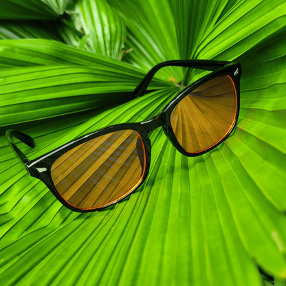 Noctesse - Blue Light Blocking Glasses