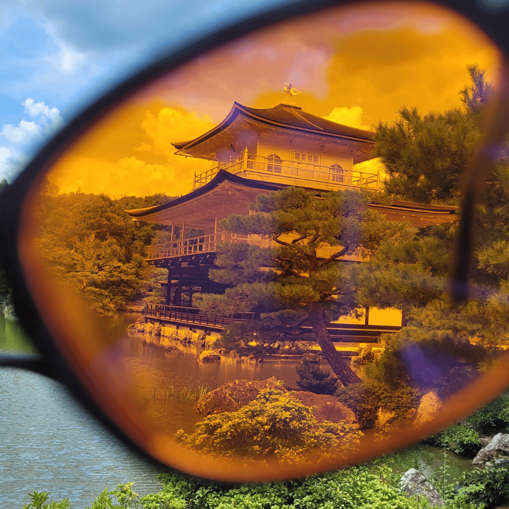 Noctesse - Blue Light Blocking Glasses